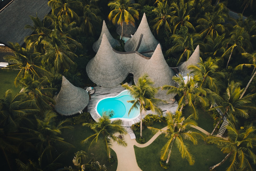 Coastal Wellness Retreats